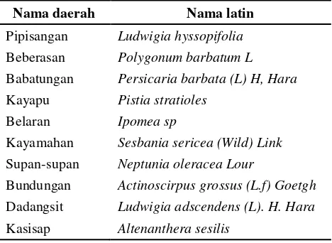 Tabel .1  Leguminose yang tumbuh di rawa   