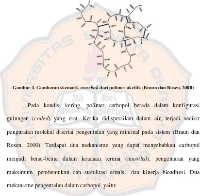 Gambar 4. Gambaran skematik crosslink dari polimer akrilik (Braun dan Rosen, 2000) 