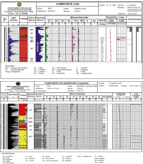 Gambar 3. Composite Log Sumur SR-1.