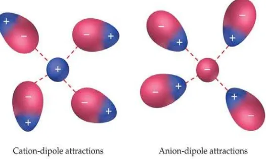 Gambar 13.2 Gaya tarik antara ion dengan kutub positif dan negatif kuat. 