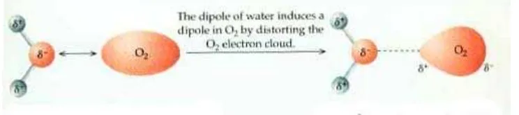 Gambar 13.7 Induksi dipol air dengan molekul O2. 