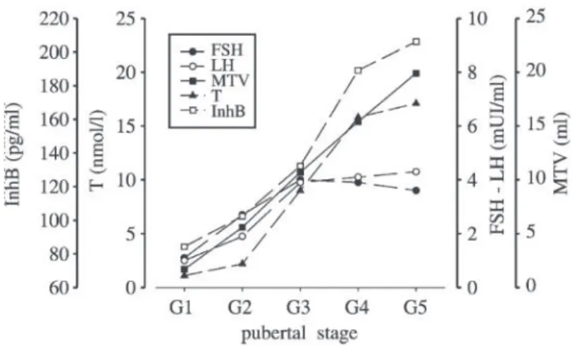 Gambar 3.6 Kadar FSH, LH, testosteron, inhibin B, dan volume testis terhadap  perkembangan pubertas pada 100 subjek normal (Radicioni et al., 2005).