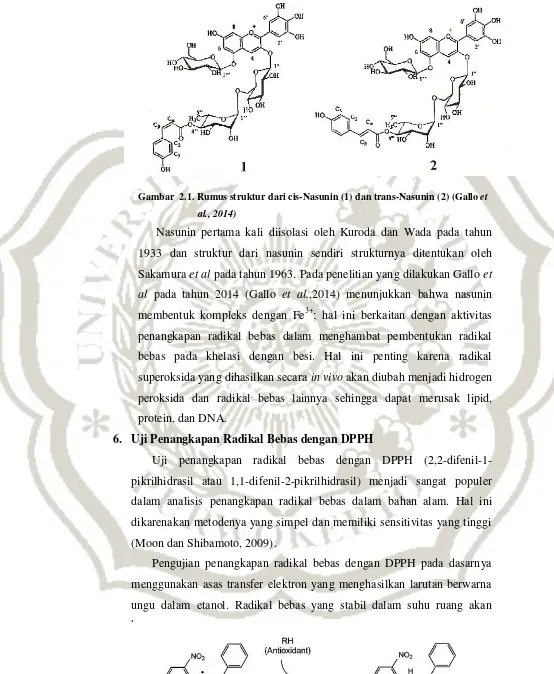 Gambar  2.1. Rumus struktur dari cis-Nasunin (1) dan trans-Nasunin (2) (Gallo et  