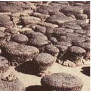 Gambar 1.1 batuan Era Arkeozoikum