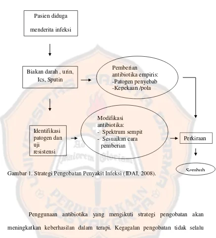 Gambar 1. Strategi Pengobatan Penyakit Infeksi (IDAI, 2008).  