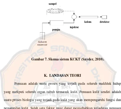 Gambar 7. Skema sistem KCKT (Snyder, 2010). 