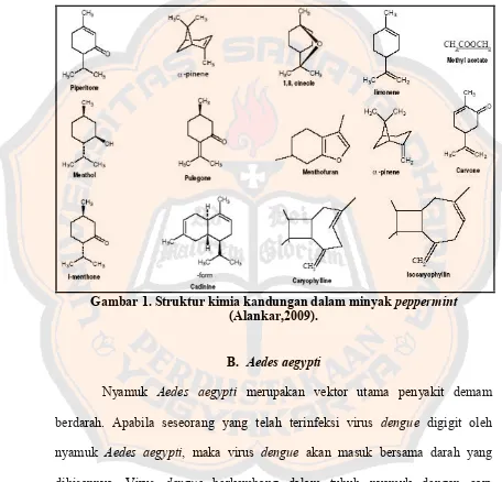 Gambar 1. Struktur kimia kandungan dalam minyak peppermint