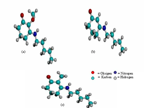 Gambar 3 Struktur geometri teroptimasi hasil Hyperchem senyawa turunan MAAs-glycine pada variasi panjang R = C5H12