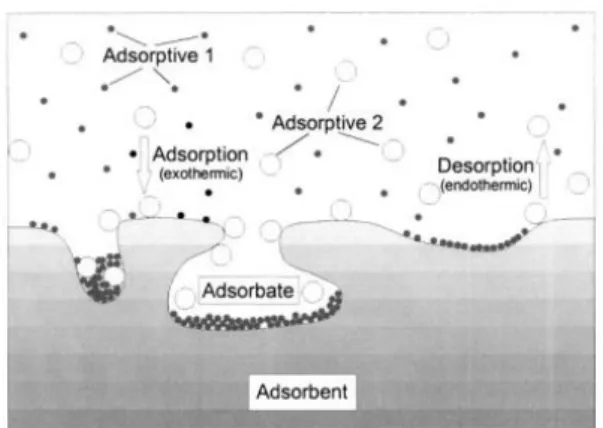 Gambar 1. Sistem Adosprsi [13] 