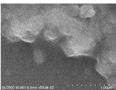 Gambar 3. Morfologi Partikel dengan Mikroskop trinokuler 