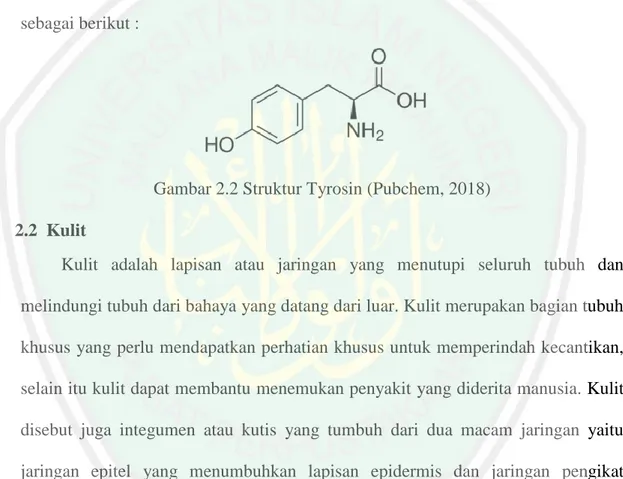 Gambar 2.2 Struktur Tyrosin (Pubchem, 2018)  2.2  Kulit  