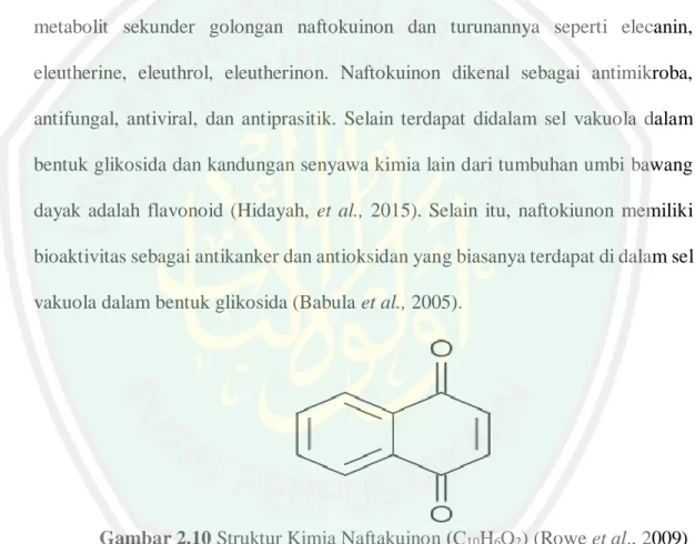 Gambar 2.10 Struktur Kimia Naftakuinon (C 10 H 6 O 2 ) (Rowe et al., 2009)