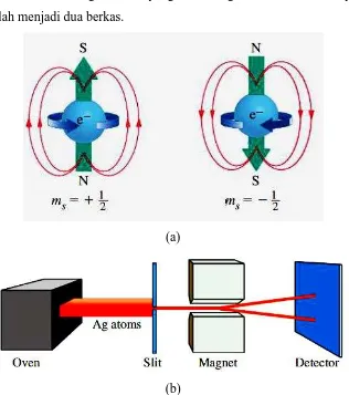 Gambar 10. (a) Visualisasi spin elektron (b) Percobaan Stern-Gerlach. 