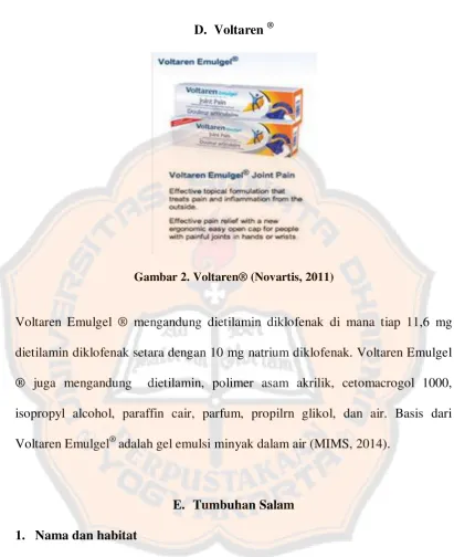 Gambar 2. Voltaren® (Novartis, 2011) 