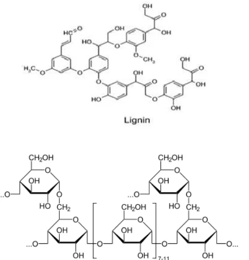 Gambar 2.4  Struktur kimia lignin dan selulosa (Shinoj, 2009).