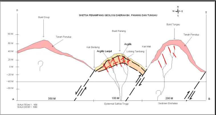 Gambar 3. Sketsa Penampang Geologi Bukit Panang dan Bukit Tungau, Kotabunan. 