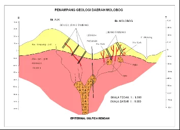 Gambar 4. Sketsa Penampang Geologi Daerah Prospek Molobog,  Kotabunan, Bolaang 
