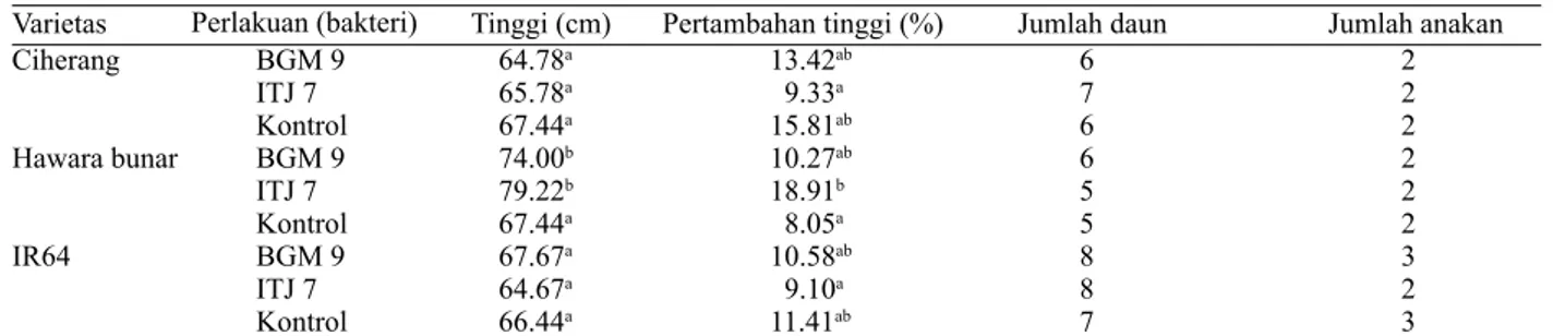 Tabel 2. Parameter pertumbuhan padi 1 minggu setelah inokulasi bakteri Varietas Ciherang Hawara bunar IR64 Perlakuan (bakteri)BGM 9ITJ 7KontrolBGM 9ITJ 7KontrolBGM 9 ITJ 7 Kontrol 64.78 a65.78a67.44a74.00 b79.22b67.44a67.67a64.67a66.44a 13.42 ab  9.33a15.8