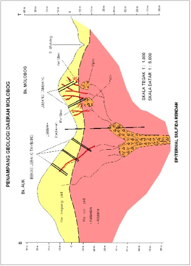 Gambar 4. Sketsa Penampang Geologi Daerah Prospek Molobog, Kotabunan, Bolaang Mongondow Timur, Sulawesi Utara  