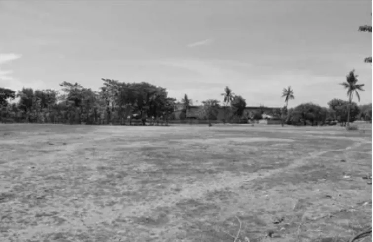 Gambar  6.  Kondisi  lahan  yang  merupakan  lahan  kosong  yang  berada  di  pesisir pantai bali utara tepatnya pada Jalan Singaraja-Gilimanuk, Kabupaten  Buleleng, Bali