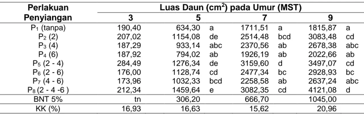 Tabel  2.  Rata-rata  luas  daun  jagung  (g)  akibat  waktu  penyiangan  gulma  pada  berbagai  umur  pengamatan 
