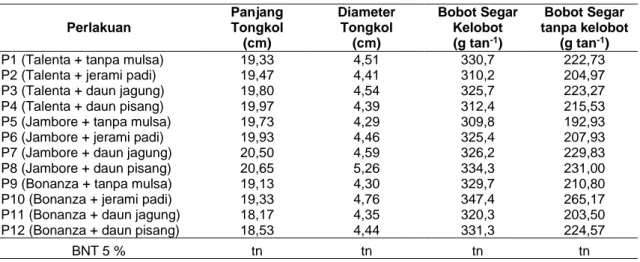 Tabel  7    Rata  –  rata  Panjang  Tongkol,  Diameter  Tongkol,  Bobot  Segar  Kelobot,  Bobot  Segar  tanpa Kelobot Akibat Perlakuan Varietas dengan Mulsa 