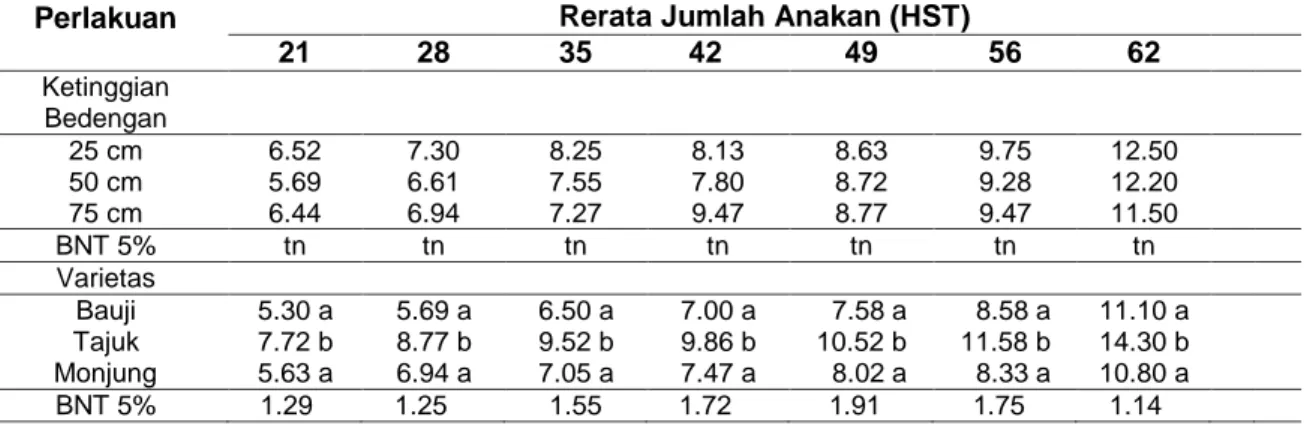 Tabel  4.  Rerata  jumlah  anakan  tiga  varietas  Bawang  Merah  yang  ditanam  pada  ketinggian  bedengan yang berbeda usia 21, 28, 35, 42, 49, 56 HST, dan 62 HST