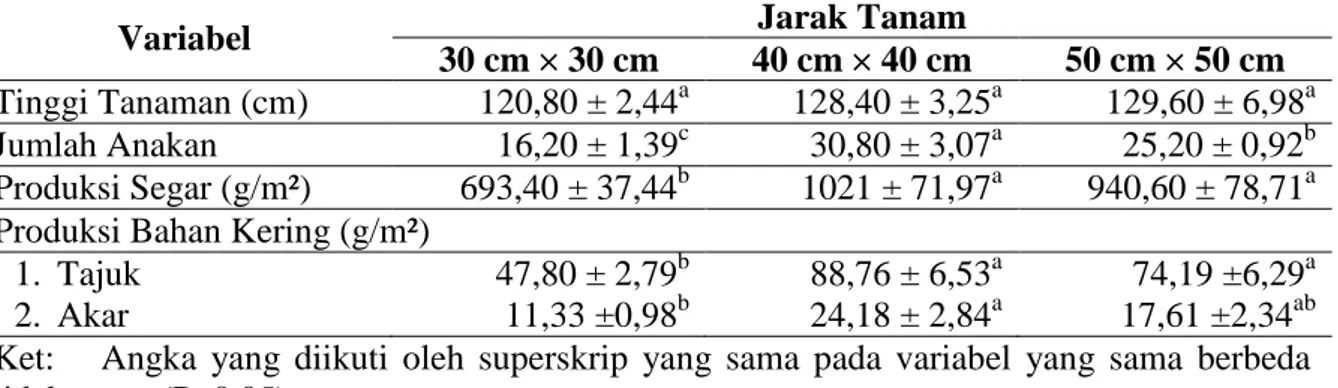 Tabel 1.  Pertumbuhan, produksi segar dan produksi bahan kering Paspalum atratum yang  ditanam dengan jarak tanam berbeda