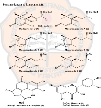 Gambar 3. Struktur senyawa-senyawa kimia yang diisolasi dari daun tanaman  M.tanarius (Matsunami, dkk., 2006) 