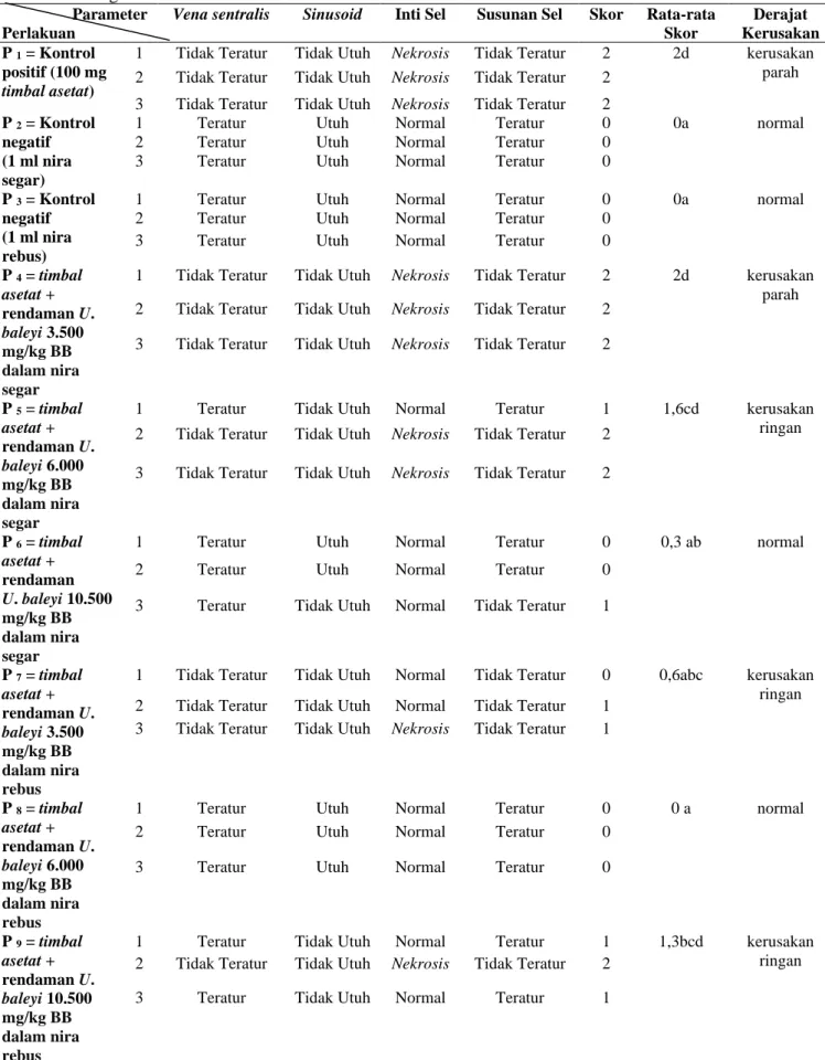 Tabel  2.  Hasil  Pengamatan  Histologi  Hati  Tikusyang  diberi  Rendaman  Usnea  baileyi  dalam  Nira  Segar dan Nira Rebus 