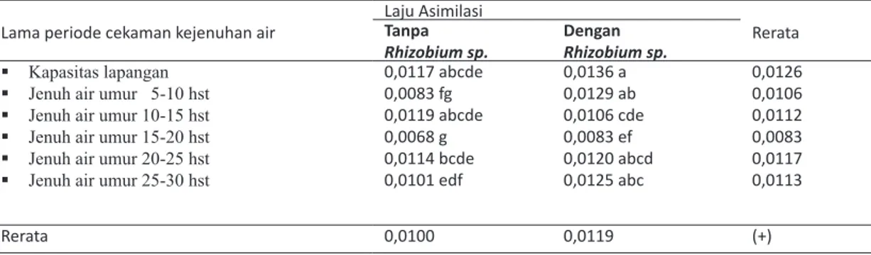 Tabel  5  menunjukkan  interaksi  inokulasi  Rhizobium sp. dengan kapasitas lapangan  meng-hasilkan laju asimilasi bersih tertinggi dibanding  perlakuan  kombinasi  lainnya