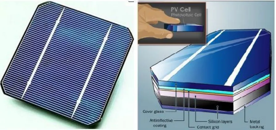 Gambar diatas  menunjukan ilustrasi sel surya dan juga bagian-bagiannya. Secara umum terdiri dari :