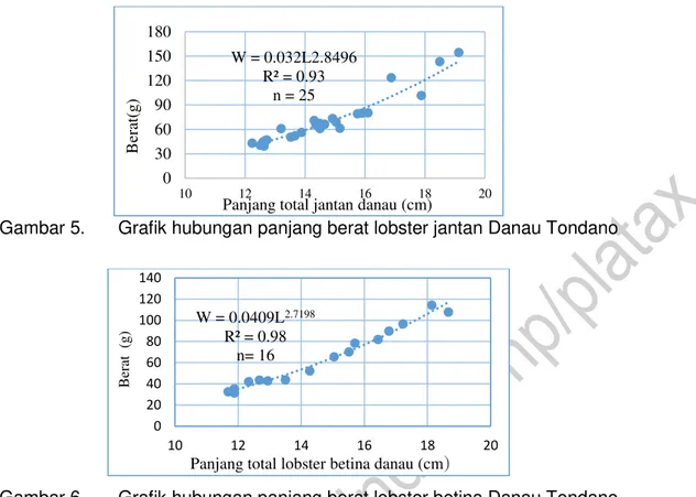 Gambar 5.  Grafik hubungan panjang berat lobster jantan Danau Tondano 
