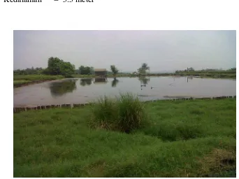 Gambar Kolam.3.5 kolam secondary Anaerobic Pond 