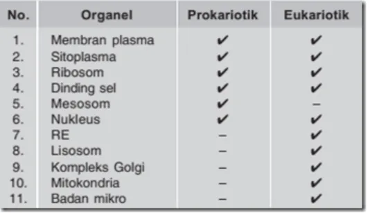 Tabel 2. Perbandingan struktur dan organel sel prokariotik dengan sel eukariotik 