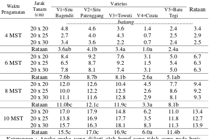 Tabel 2. Rataan jumlah anakan saat 4-10 mst pada perlakuan jarak tanam dan varietas  