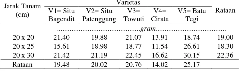 Tabel 3. Rataan bobot kering tajuk (g) pada perlakuan jarak tanam dan varietas 