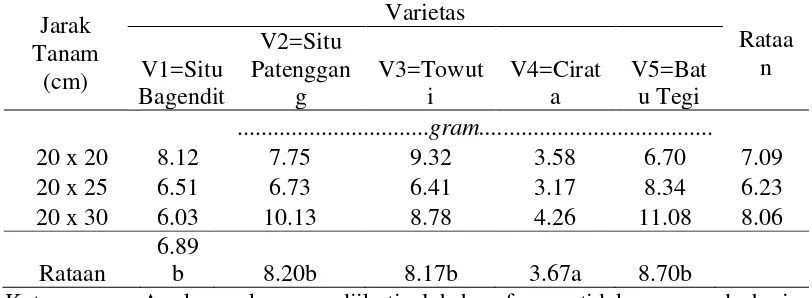 Tabel 4. Rataan bobot kering akar pada perlakuan jarak tanam dan beberapa varietas 