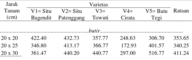 Tabel 5. Rataan jumlah malai pada perlakuan jarak tanam dan varietas  