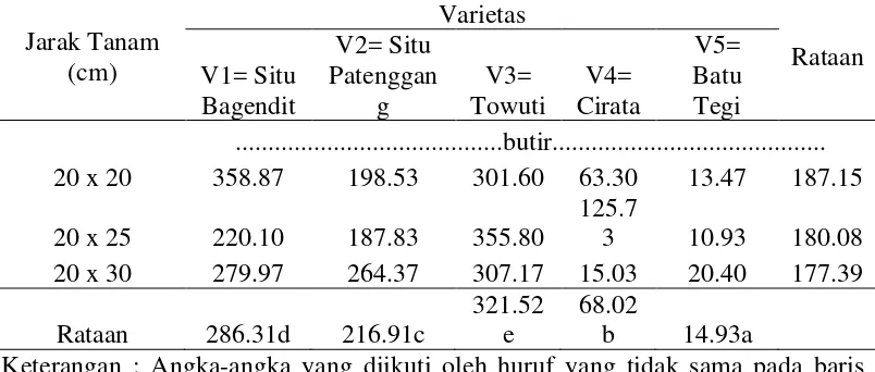 Tabel 7. Rataan jumlah gabah produktif pada jarak tanam dan varietas 