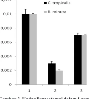 Gambar 4. Kadar Parasetamol dalam Laru- Laru-tan Ekstraselular C. tropicalis  dan  R. minuta setelah Diinkubasi  Selama 1 jam, tanpa, dan dengan  Penambahan H 2 O 2