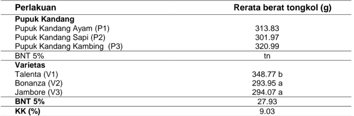 Tabel 6  Rerata Berat Tongkol pertanaman 