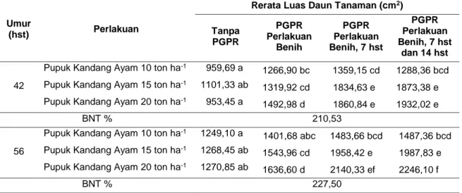 Tabel 1   Rata-rata Interaksi Luas Daun Tanaman Perlakuan Pupuk Kandang Ayam dan PGPR  pada Umur Pengamatan 42 hst dan 56 hst 