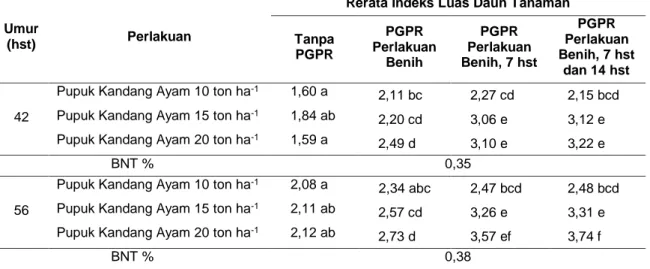 Tabel 2   Rata-rata Interaksi Indeks Luas Daun Tanaman Perlakuan Pupuk Kandang Ayam dan  PGPR pada Umur Pengamatan 42 hst dan 56 hst 