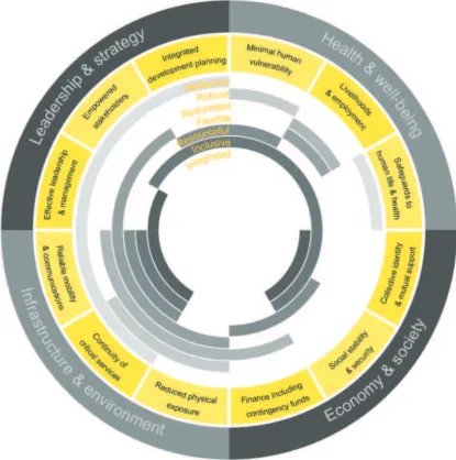 Figure 2.1. City Resilience Framework