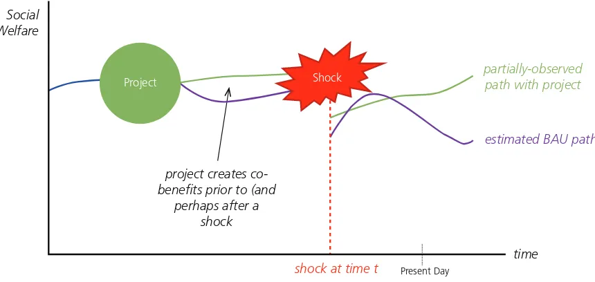 Figure 3.3. Valuing a Project with Co-Beneﬁts and a Single Shock