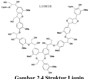 Gambar 2.4 Struktur Lignin 