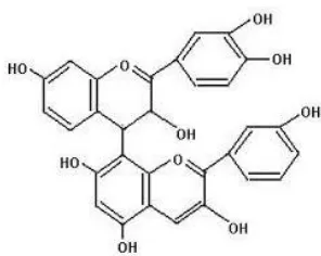 Gambar II.5 Struktur molekul lignin (Sjöström 1993; Fengel & 