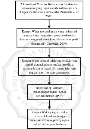 Gambar 2.4 Kerangka konsep penelitian 