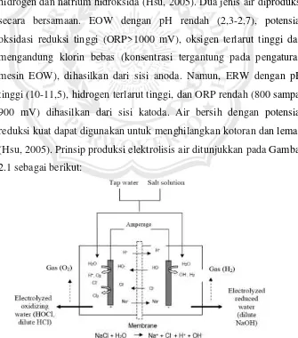 Gambar 2.1. Bagan generator elektrolisis air dan senyawa yang dihasilkan 